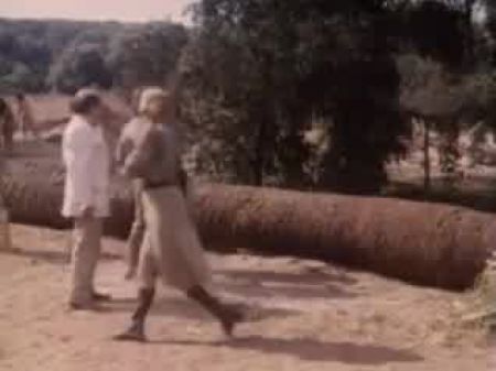 nesaporn bdsm prison punishment